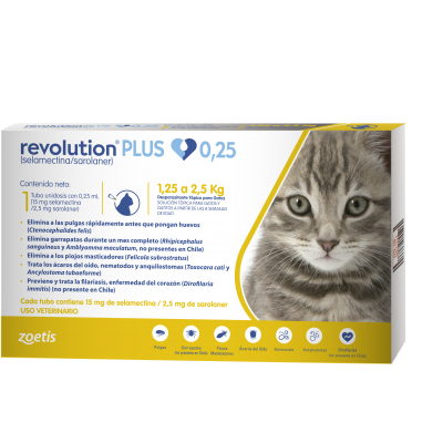 Revolution Plus para Gatos